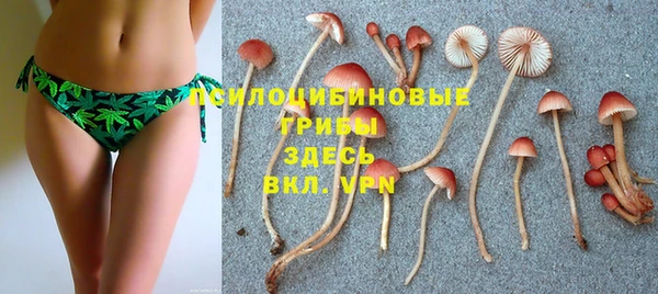 таблы Алексеевка