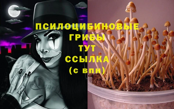 таблы Алексеевка