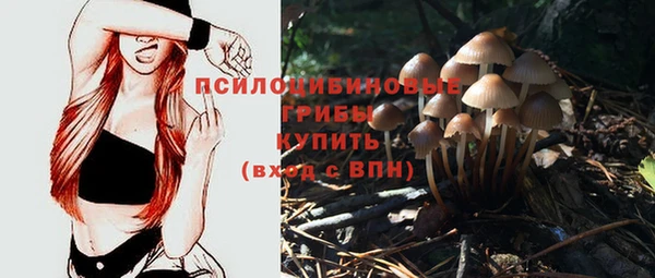 таблы Алексеевка