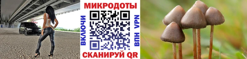 Псилоцибиновые грибы GOLDEN TEACHER  наркота  Люберцы 