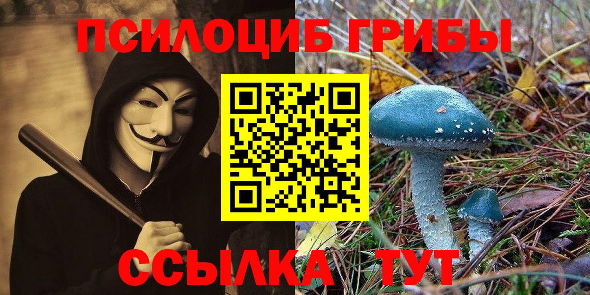 Люберцы  Галлюциногенные грибы Cubensis  Вход с VPN 