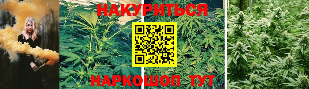 Каннабис гибрид Люберцы
